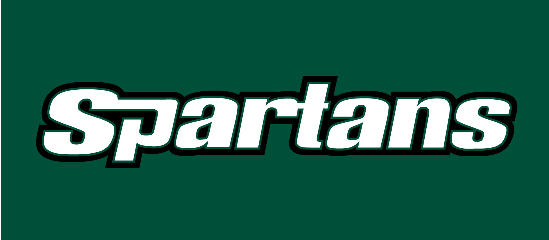 USC Upstate Spartans 2003-2010 Wordmark Logo t shirts iron on transfers v2